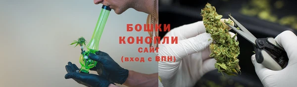 ГАЛЛЮЦИНОГЕННЫЕ ГРИБЫ Нея