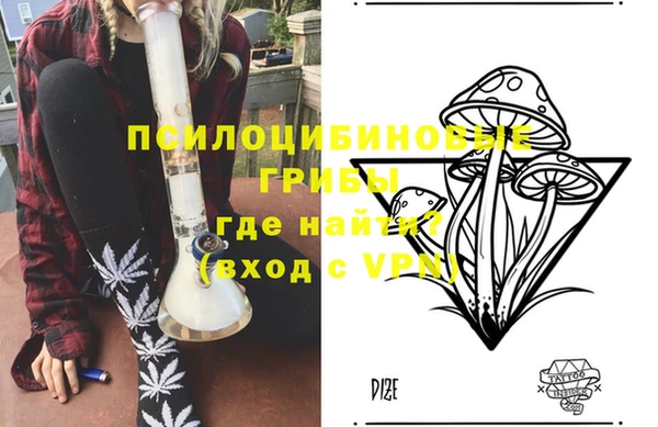 ГАЛЛЮЦИНОГЕННЫЕ ГРИБЫ Нея