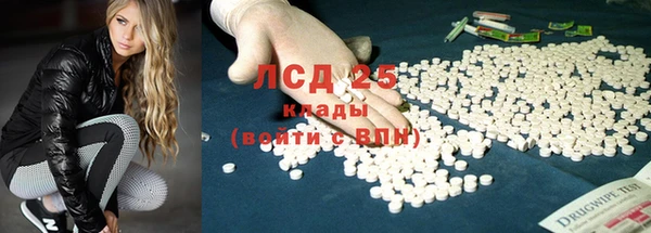 хмурый Нефтекумск